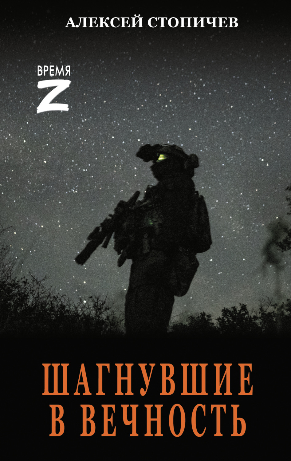Обложка книги «Шагнувшие в вечность»