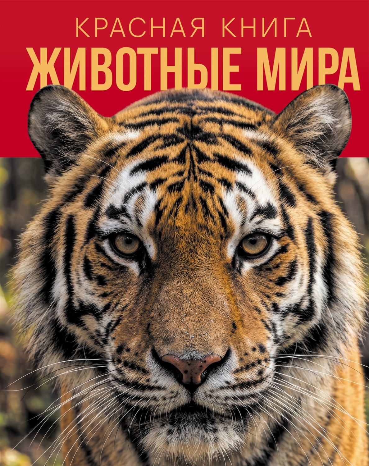 Обложка книги «Красная книга. Животные мира»