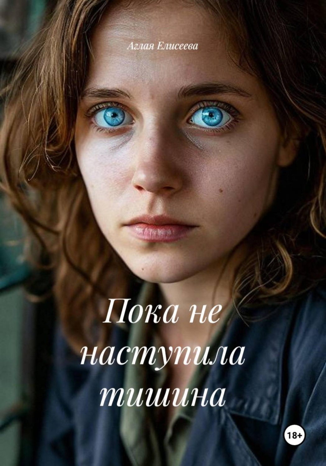 Обложка книги «Пока не наступила тишина»
