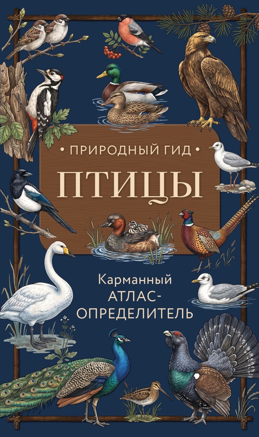 Обложка книги «Птицы. Карманный атлас-определитель»