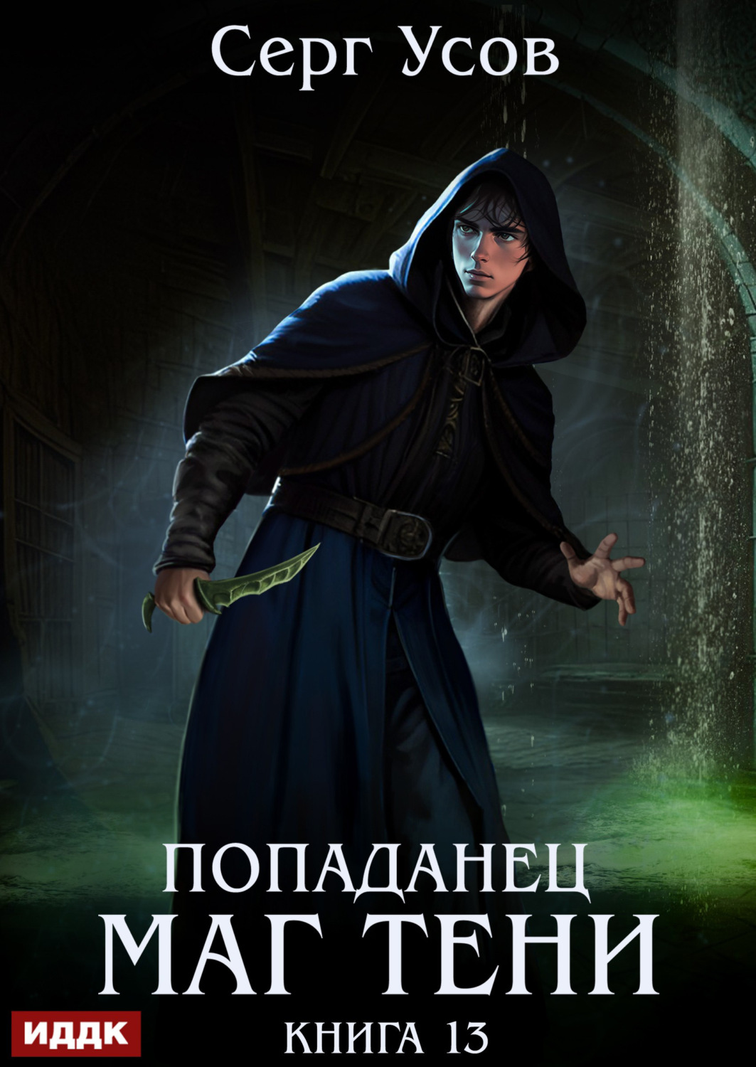 Обложка книги «Попаданец. Маг Тени. Книга 13»