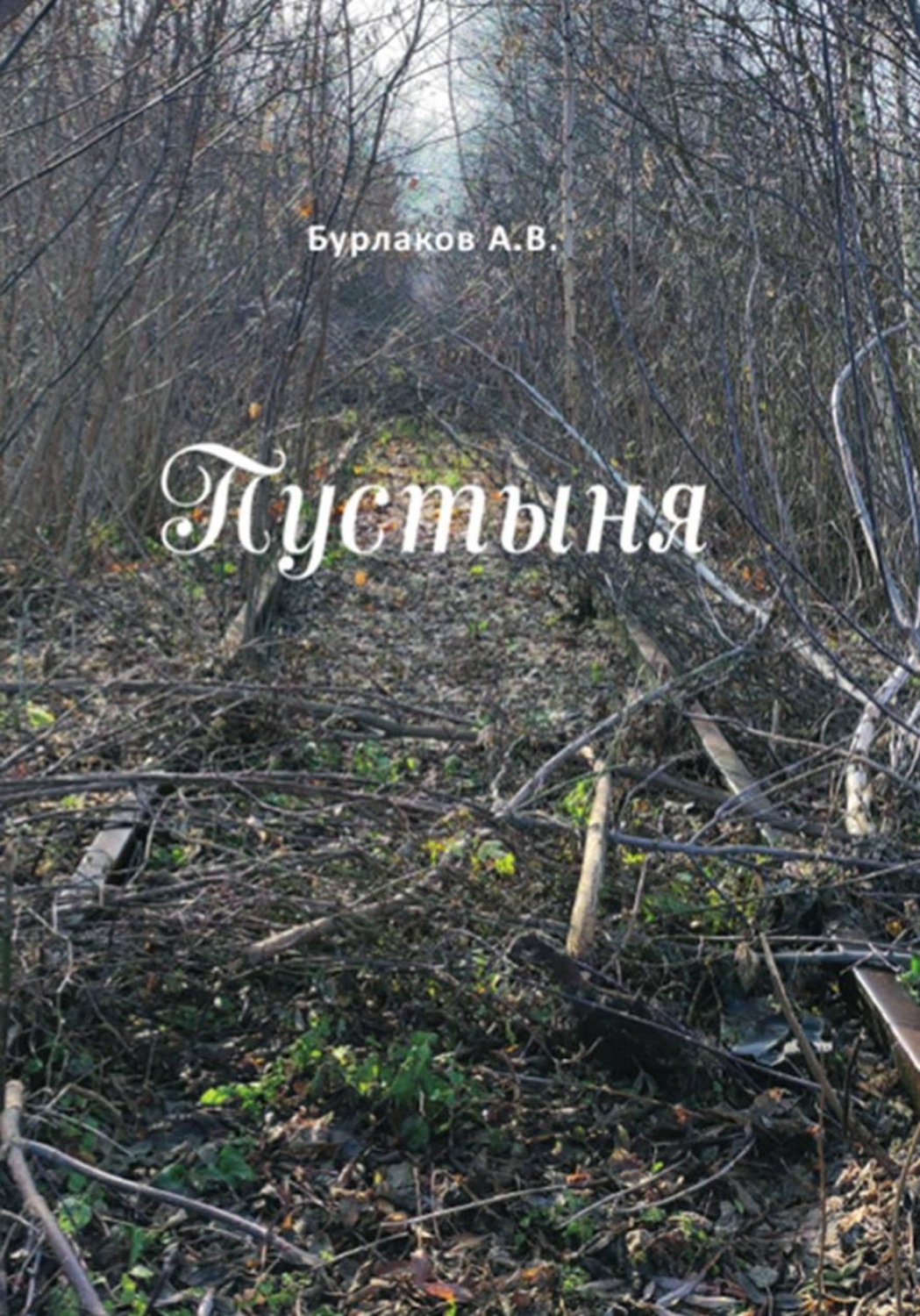 Обложка книги «Пустыня»