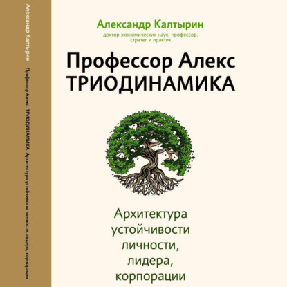 Обложка книги «Профессор Алекс. Триодинамика. Архитектура устойчивости личности, лидера и корпорации»