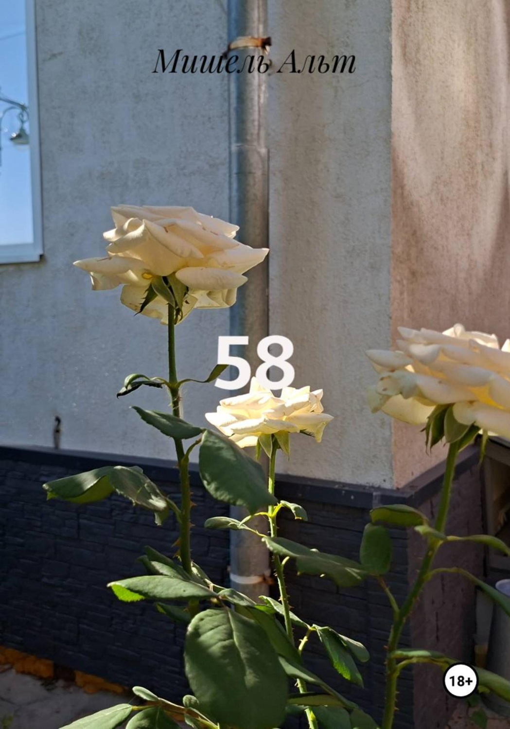 Обложка книги «58»
