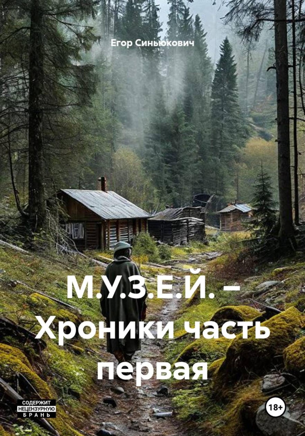 Обложка книги «М.У.З.Е.Й. – Хроники часть первая»