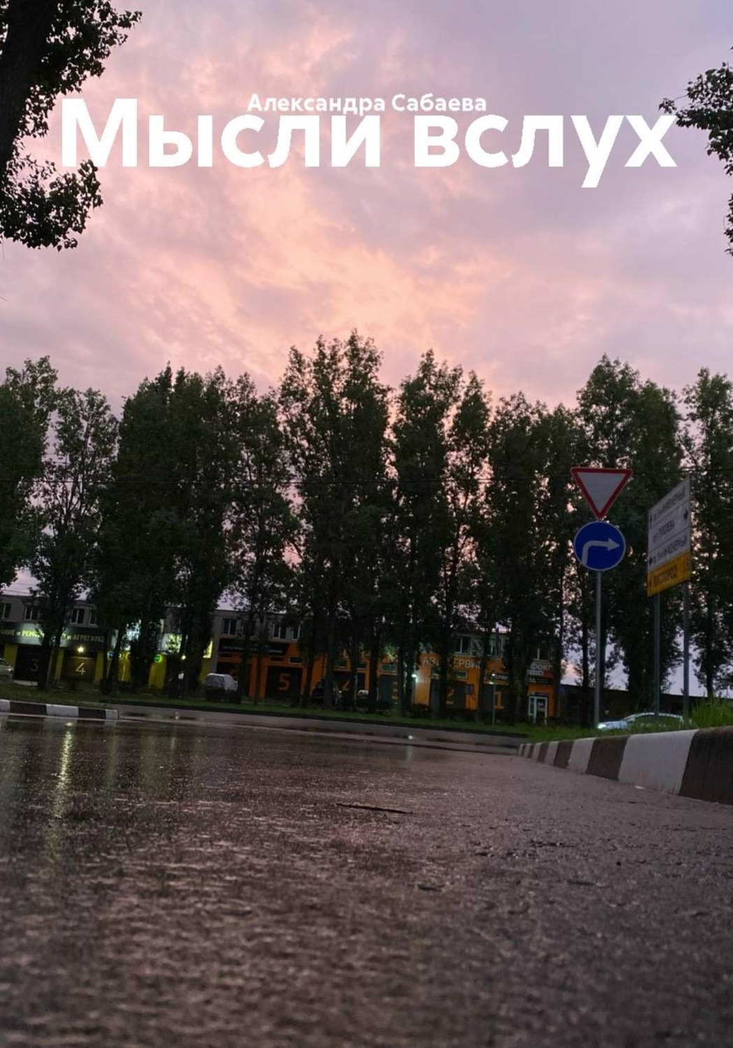 Обложка книги «Мысли вслух»