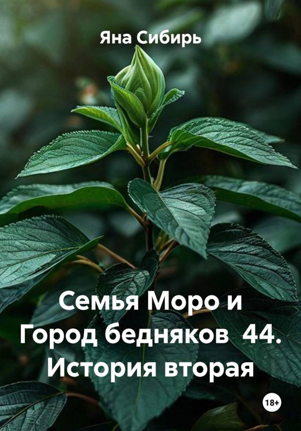 Обложка книги «Семья Моро и Город бедняков 44. История вторая»