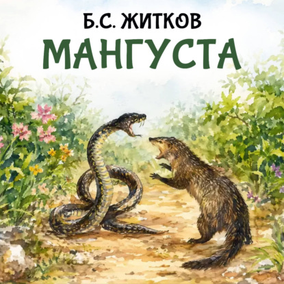 Обложка книги «Мангуста»