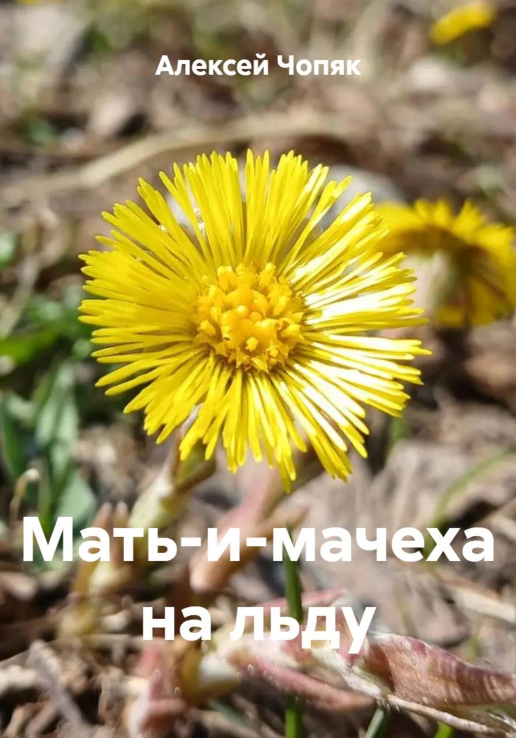 Обложка книги «Мать-и-мачеха на льду»