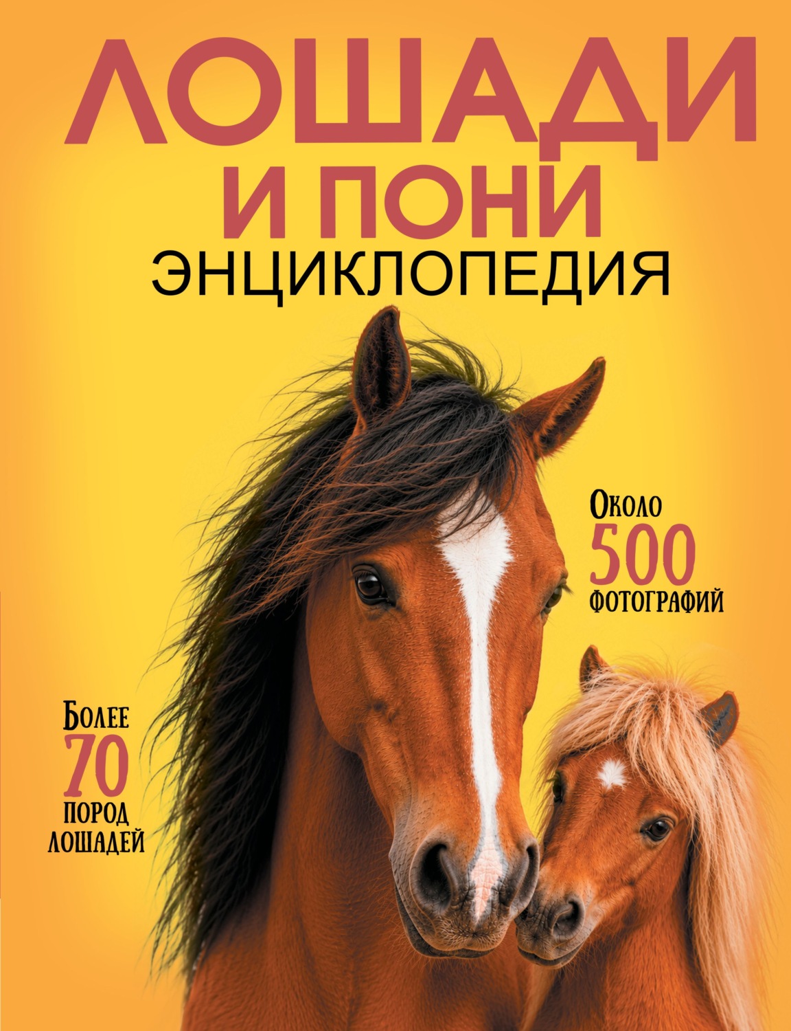 Обложка книги «Самая лучшая иллюстрированная энциклопедия. Лошади и пони»