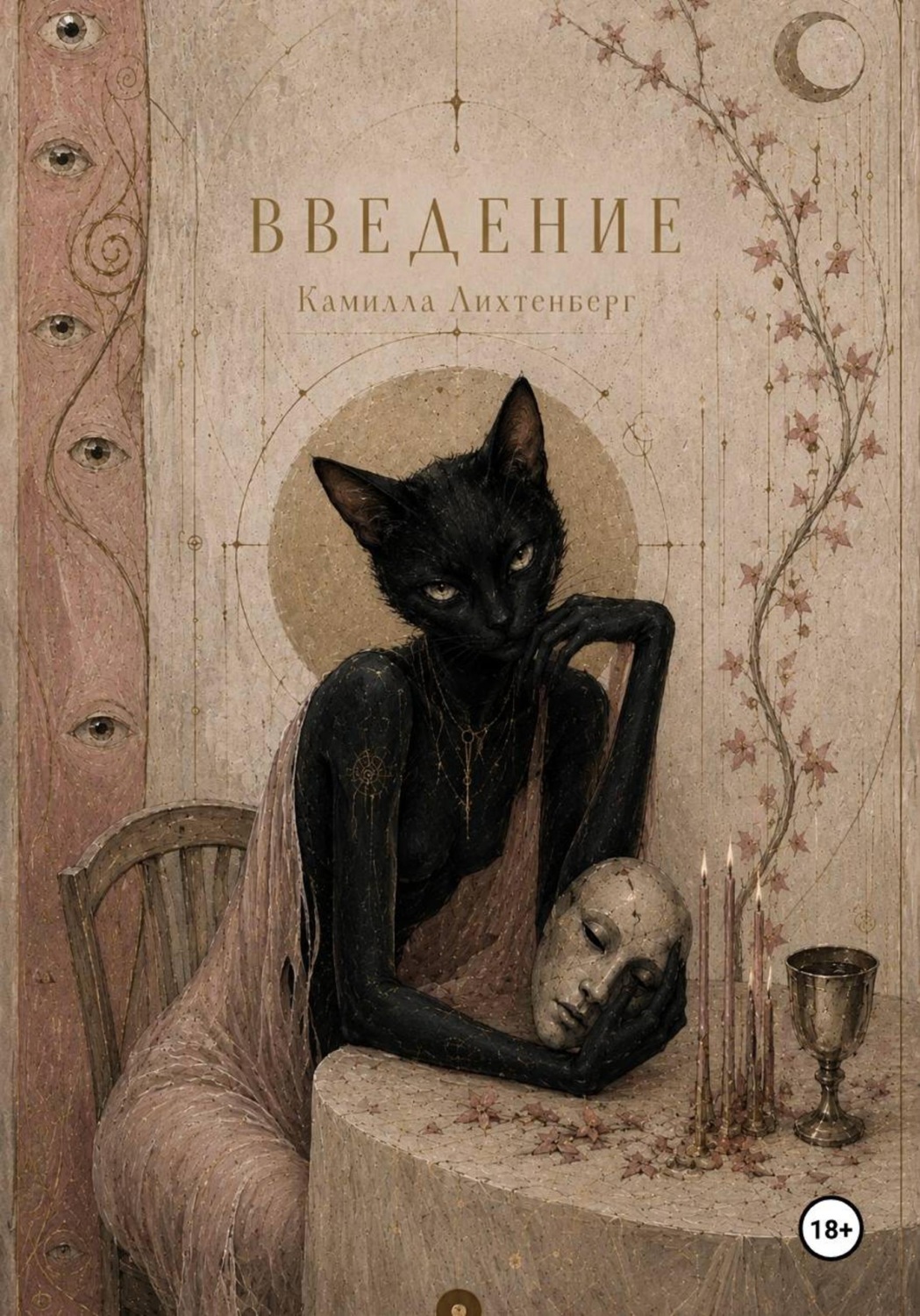 Обложка книги «ВВЕДЕНИЕ»