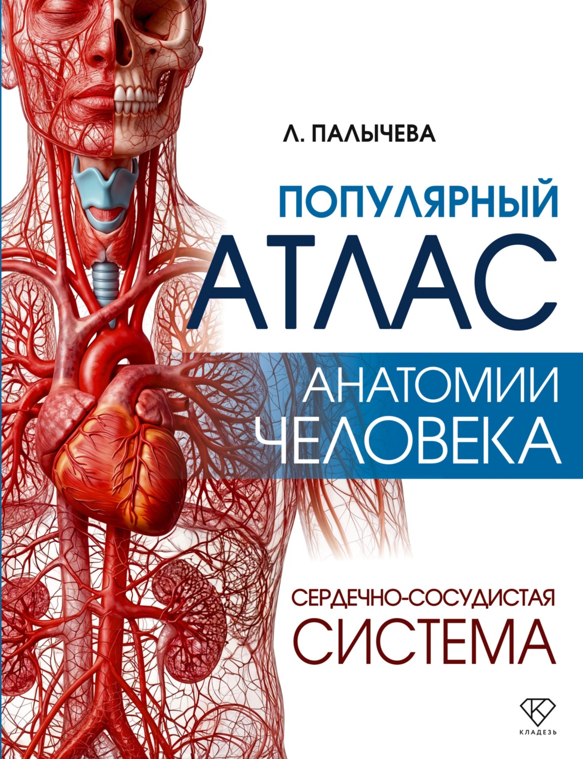 Обложка книги «Популярный атлас анатомии человека. Сердечно-сосудистая система»