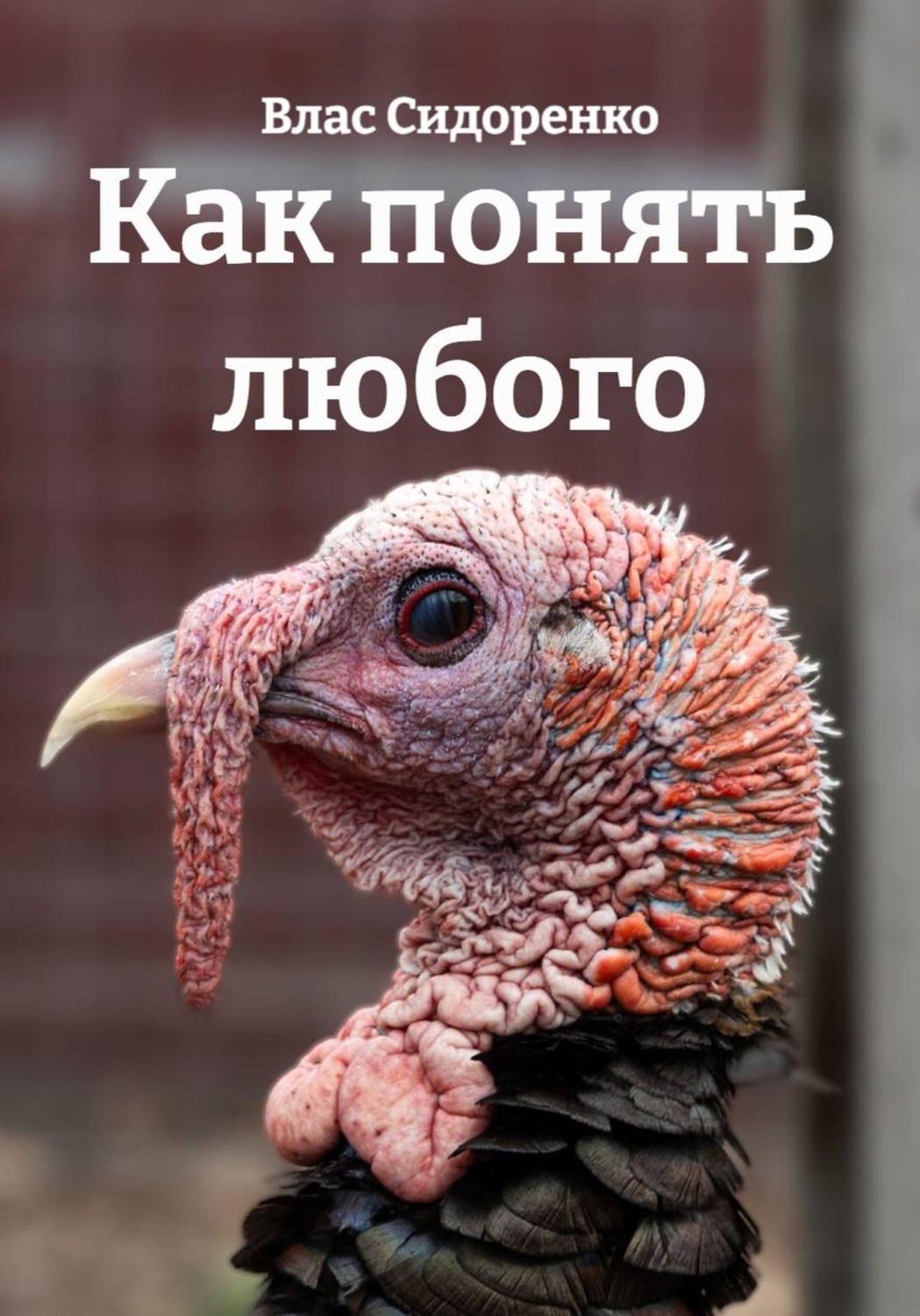Обложка книги «Как понять любого»
