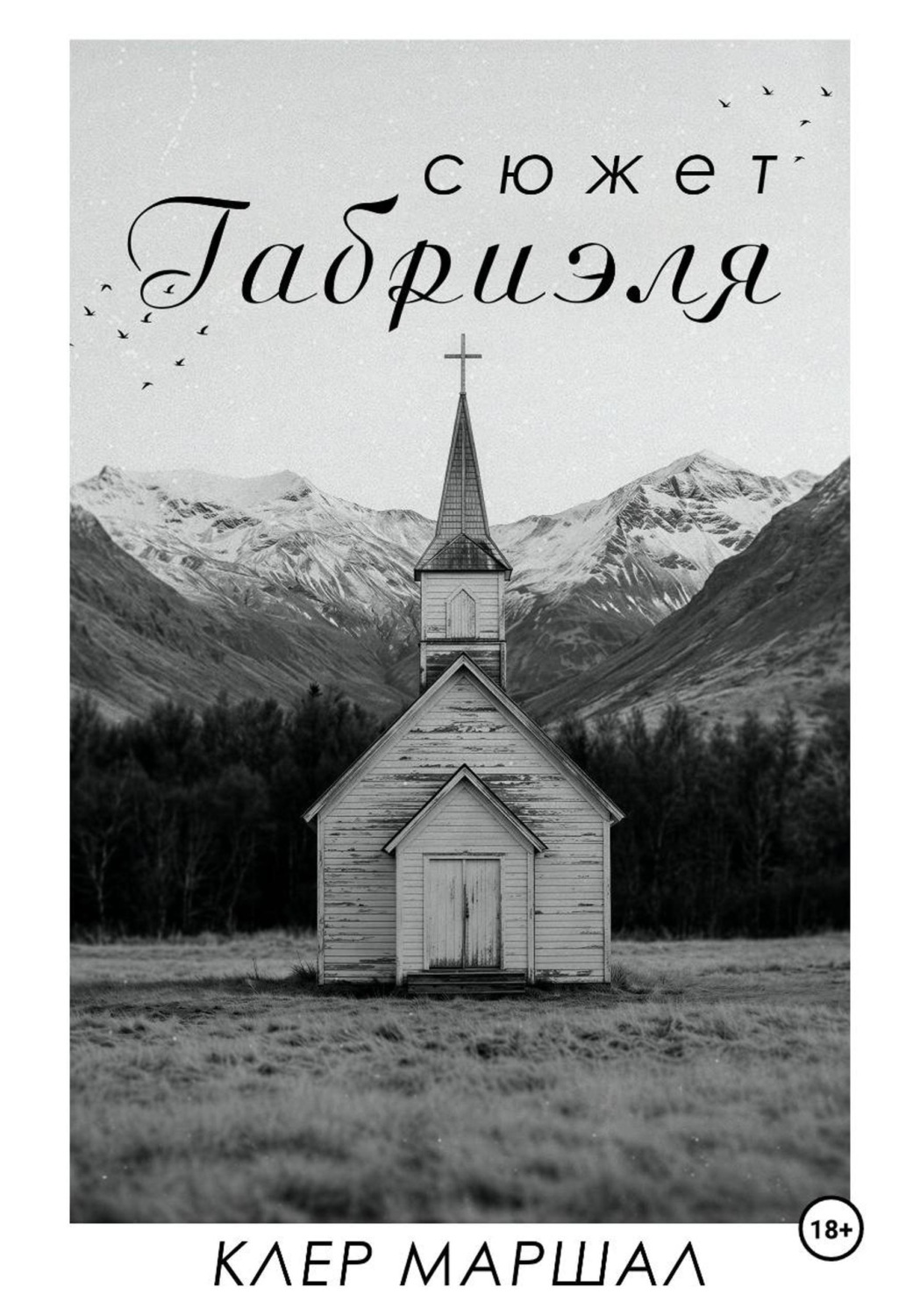Обложка книги «Сюжет Габриэля»