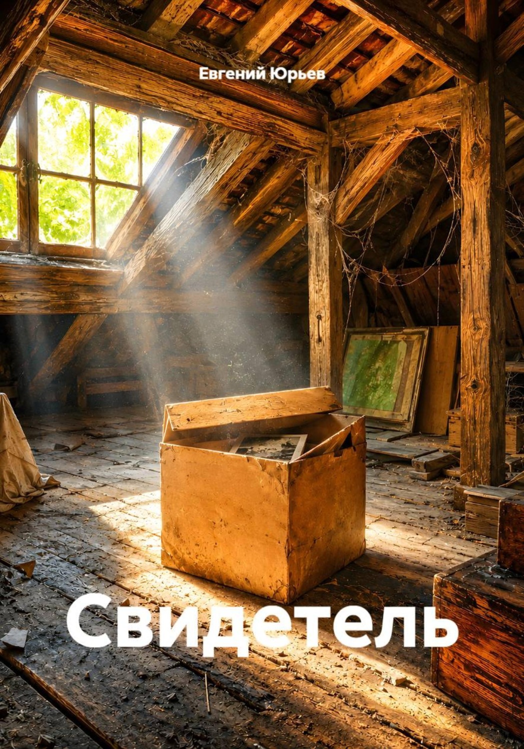 Обложка книги «Свидетель»