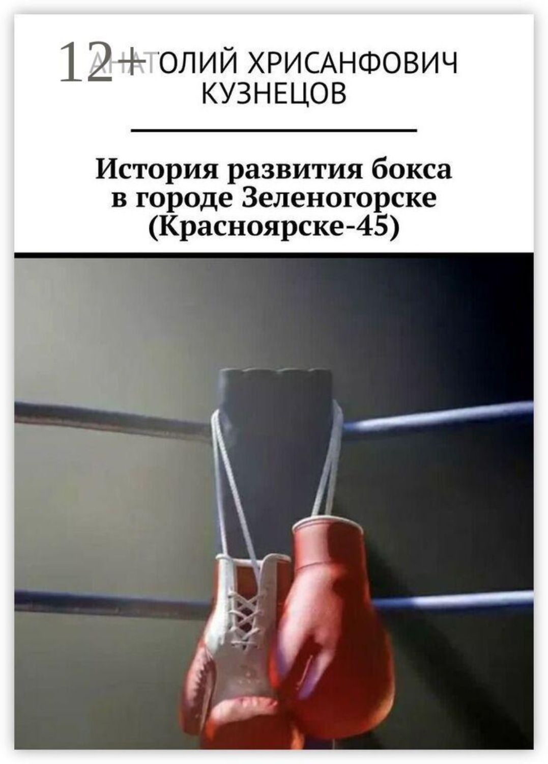 Обложка книги «История развития бокса в городе Зеленогорске (Красноярске-45)»