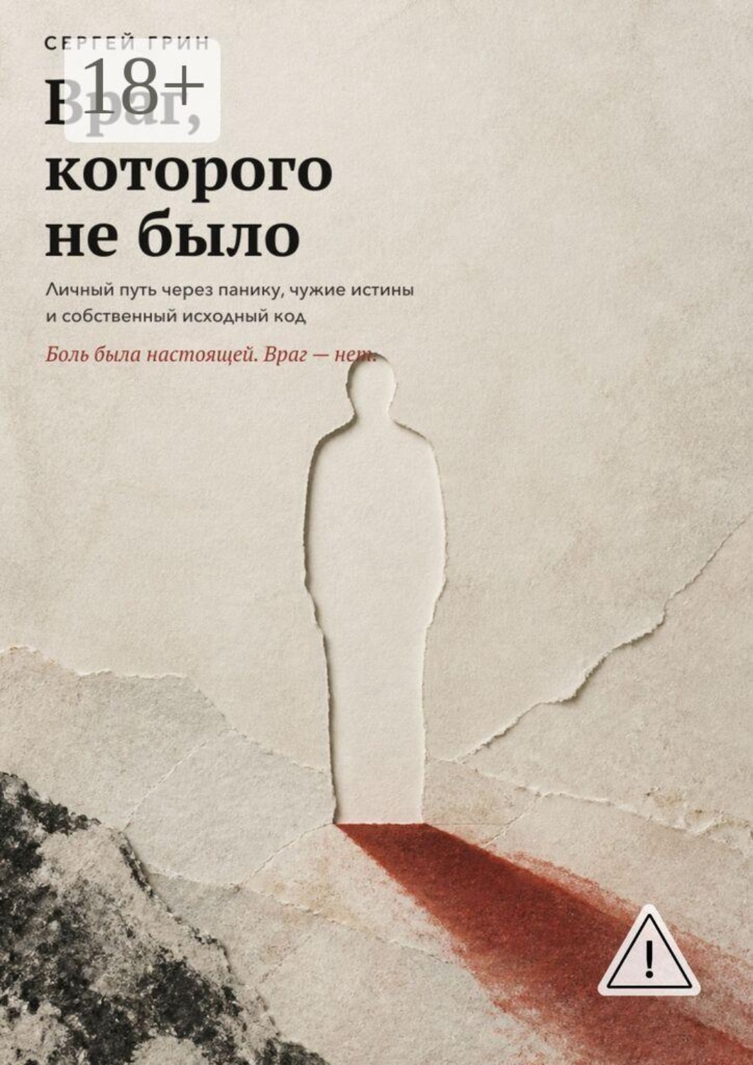 Обложка книги «Враг, которого не было. Личный путь через панику, чужие истины и собственный исходный код»
