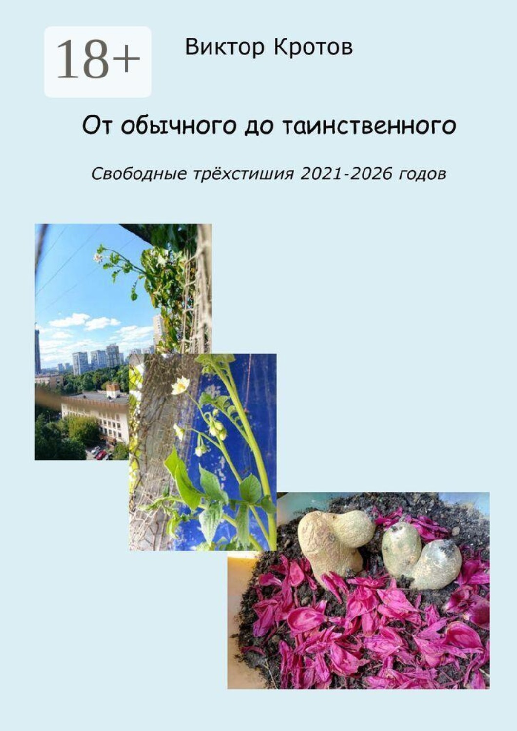 Обложка книги «От обычного до таинственного. Свободные трёхстишия 2021—2026 годов»