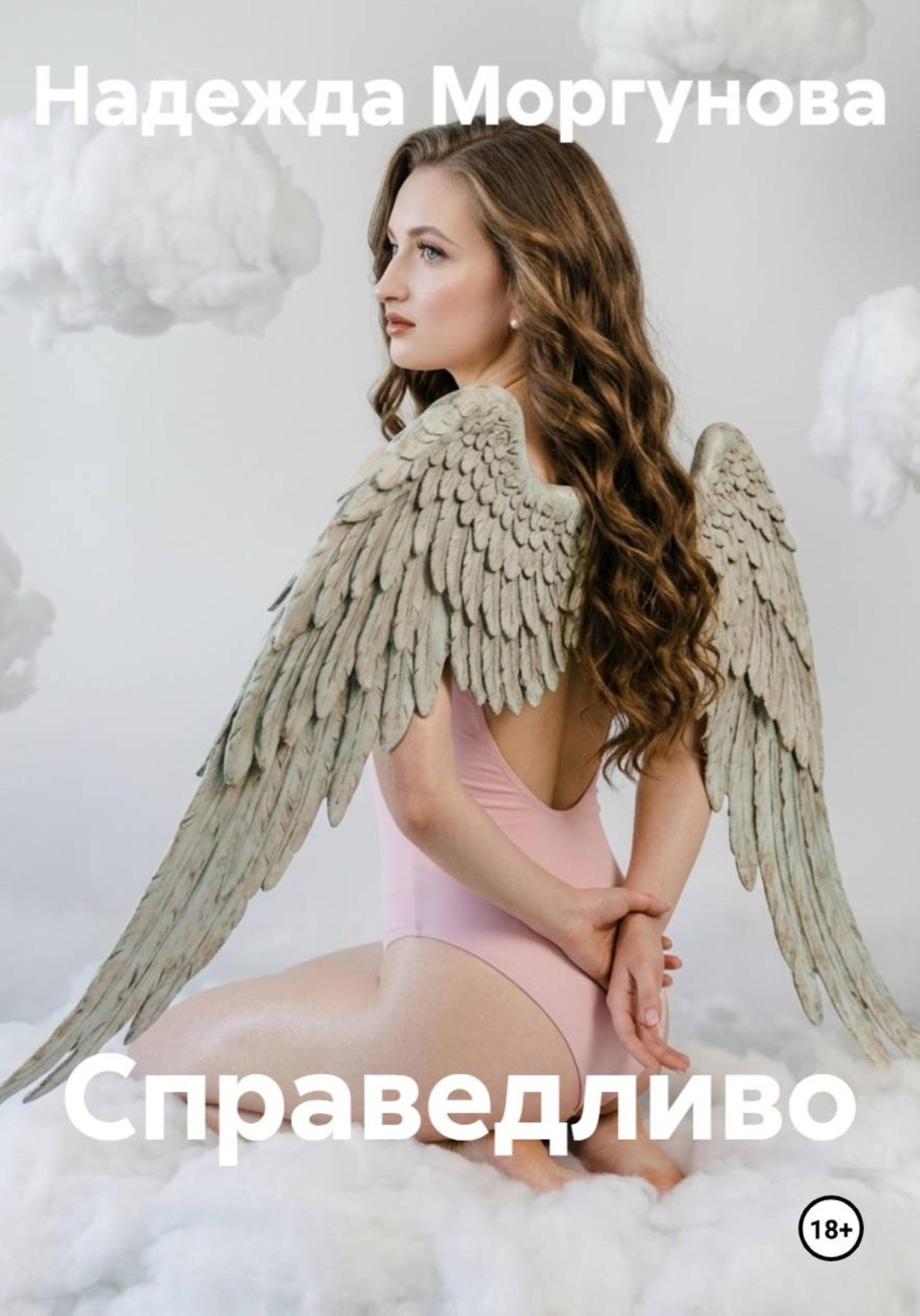 Обложка книги «Справедливо»