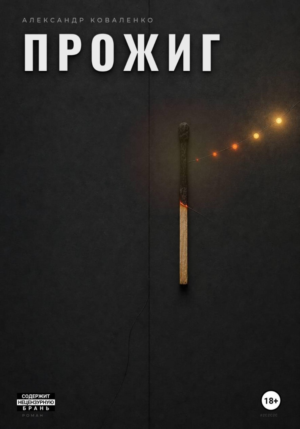 Обложка книги «Прожиг»