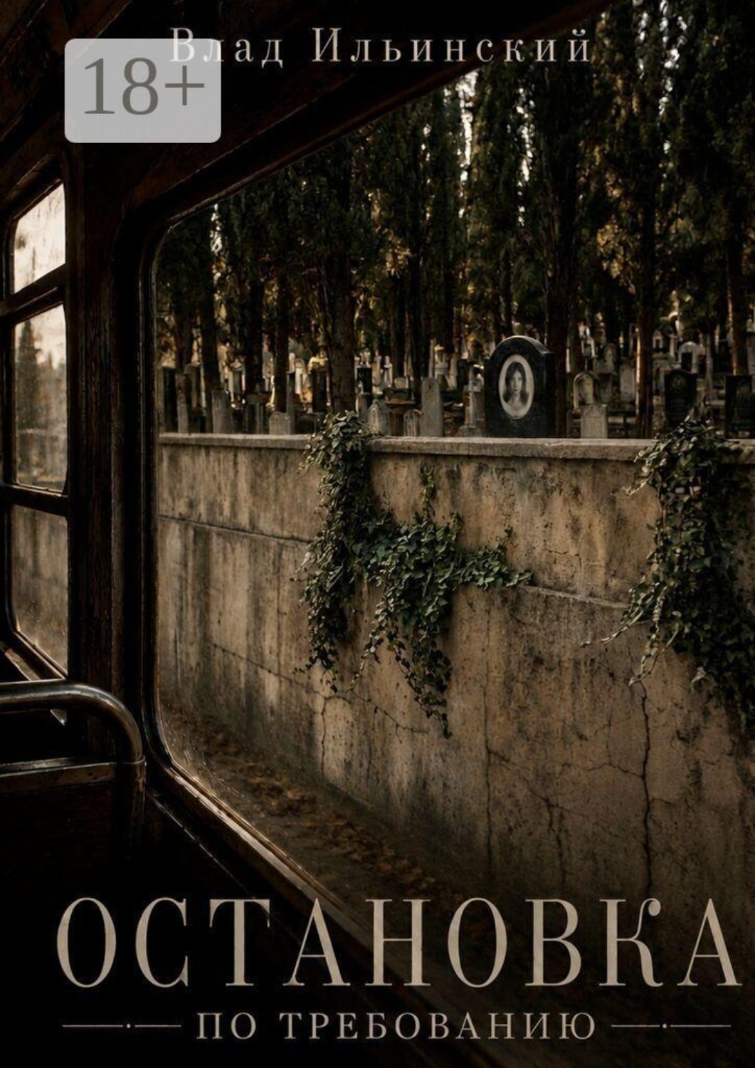 Обложка книги «Остановка по требованию»