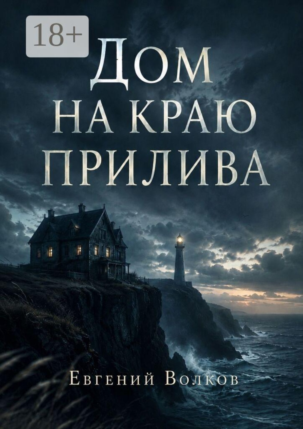 Обложка книги «Дом на краю прилива»