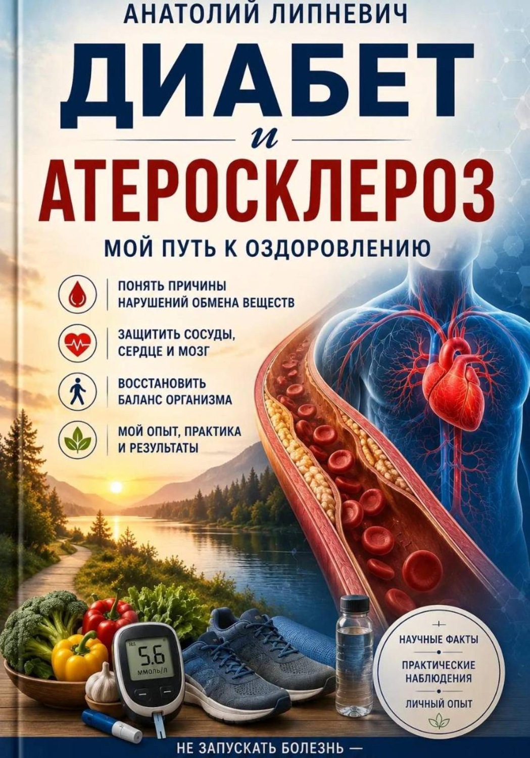 Обложка книги «Диабет и атеросклероз Мой путь к выздоровлению»