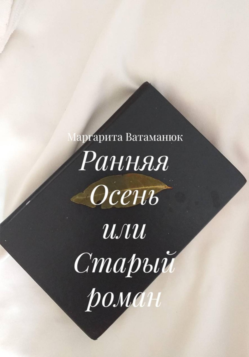 Обложка книги «Ранняя Осень или Старый роман»