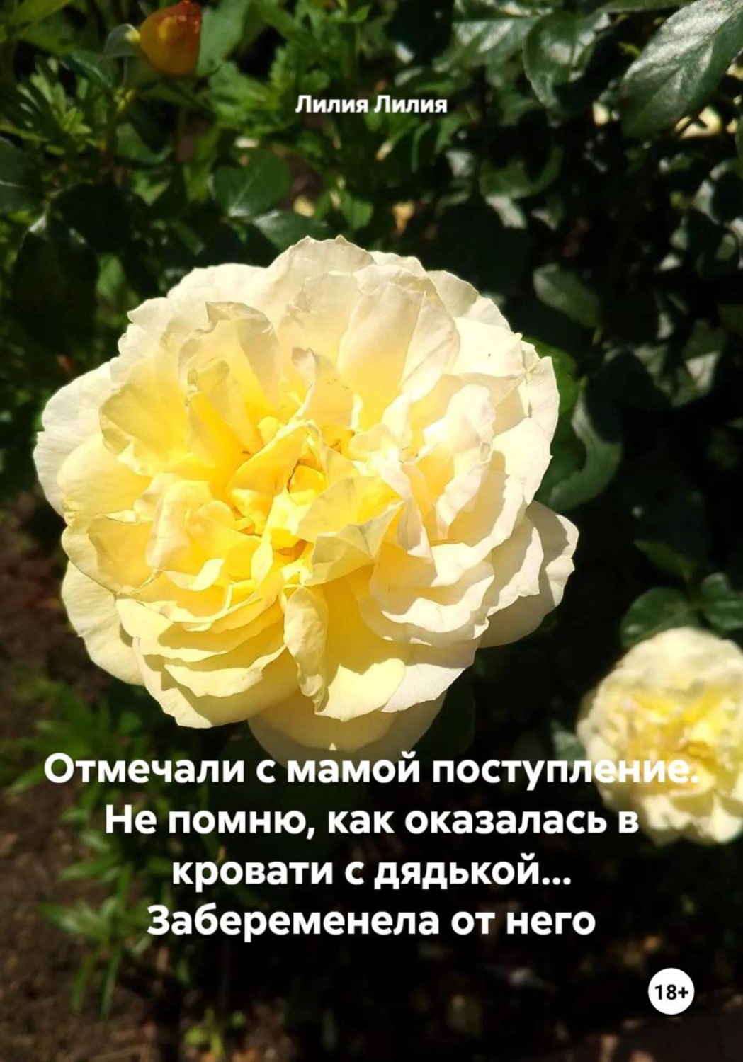Обложка книги «Отмечали с мамой поступление. Не помню, как оказалась в кровати с дядькой... Забеременела от него»