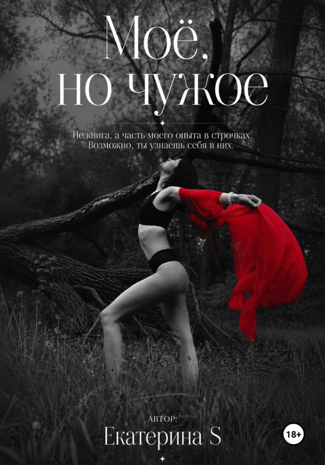 Обложка книги «Моё, но чужое»