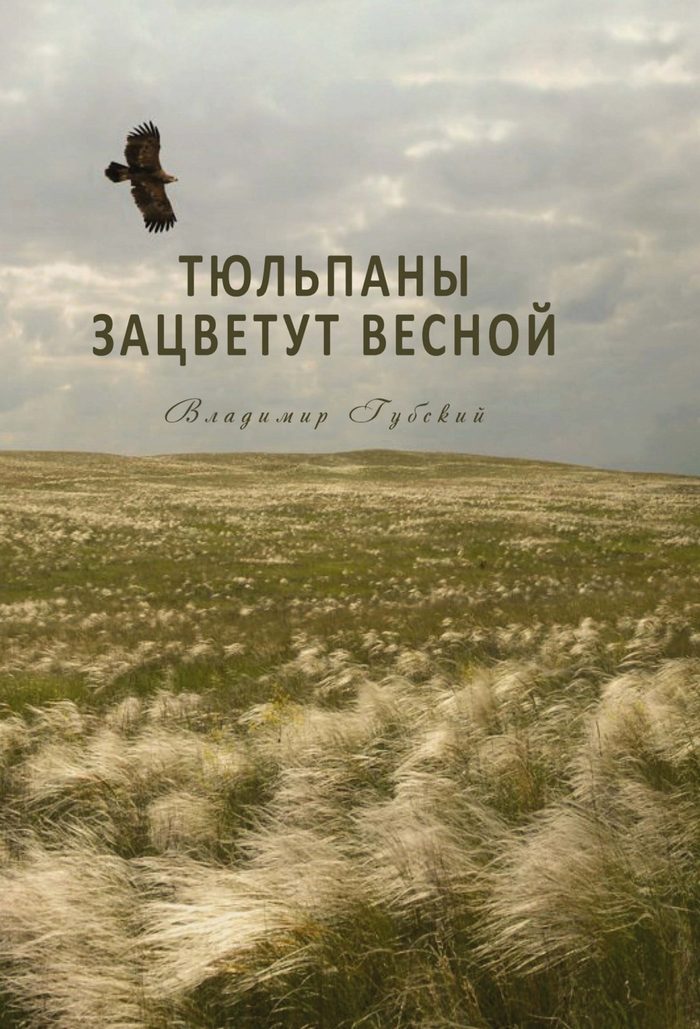 Обложка книги «Тюльпаны зацветут весной»