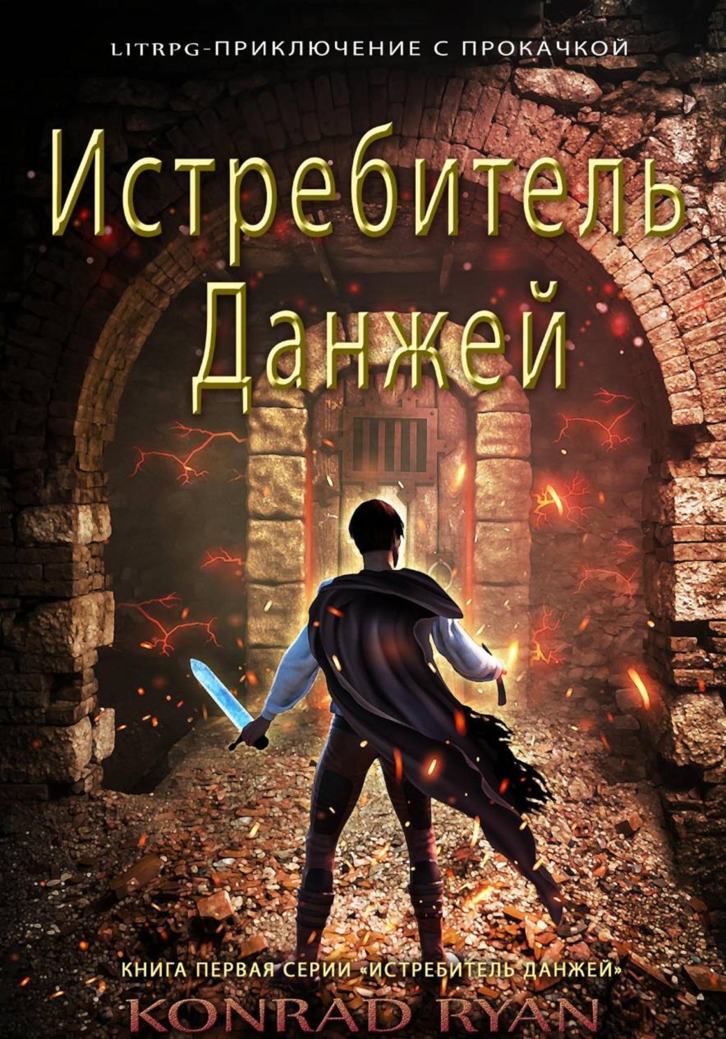 Обложка книги «Истребитель Данжей»