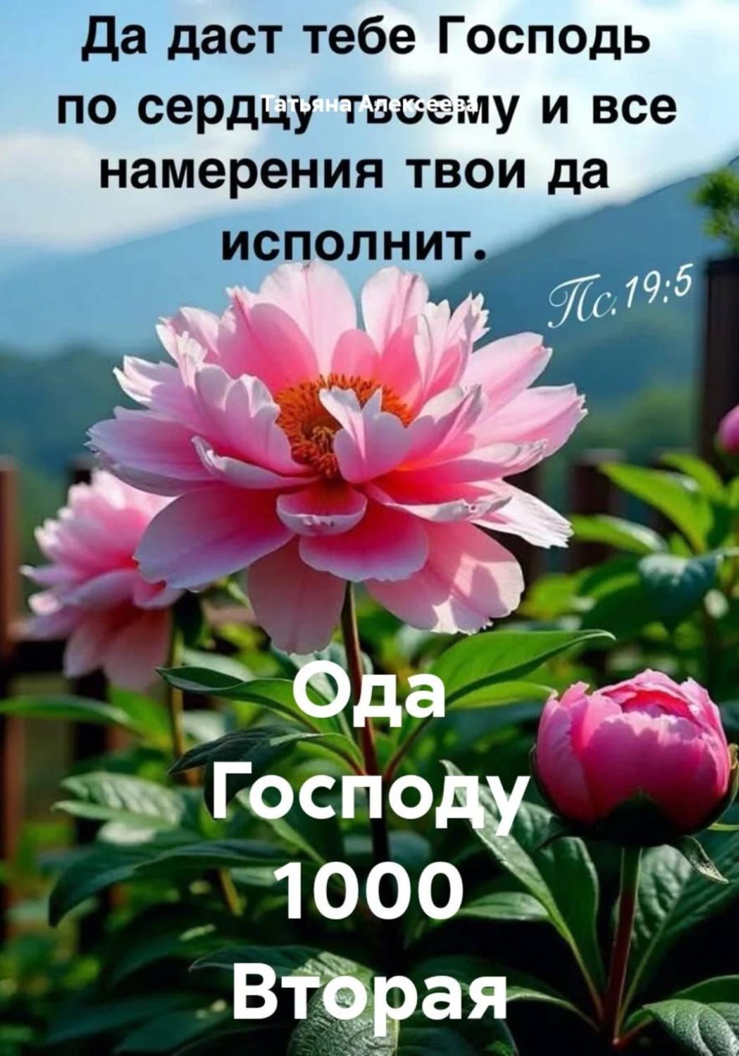 Обложка книги «Ода Господу 1000. Вторая часть»