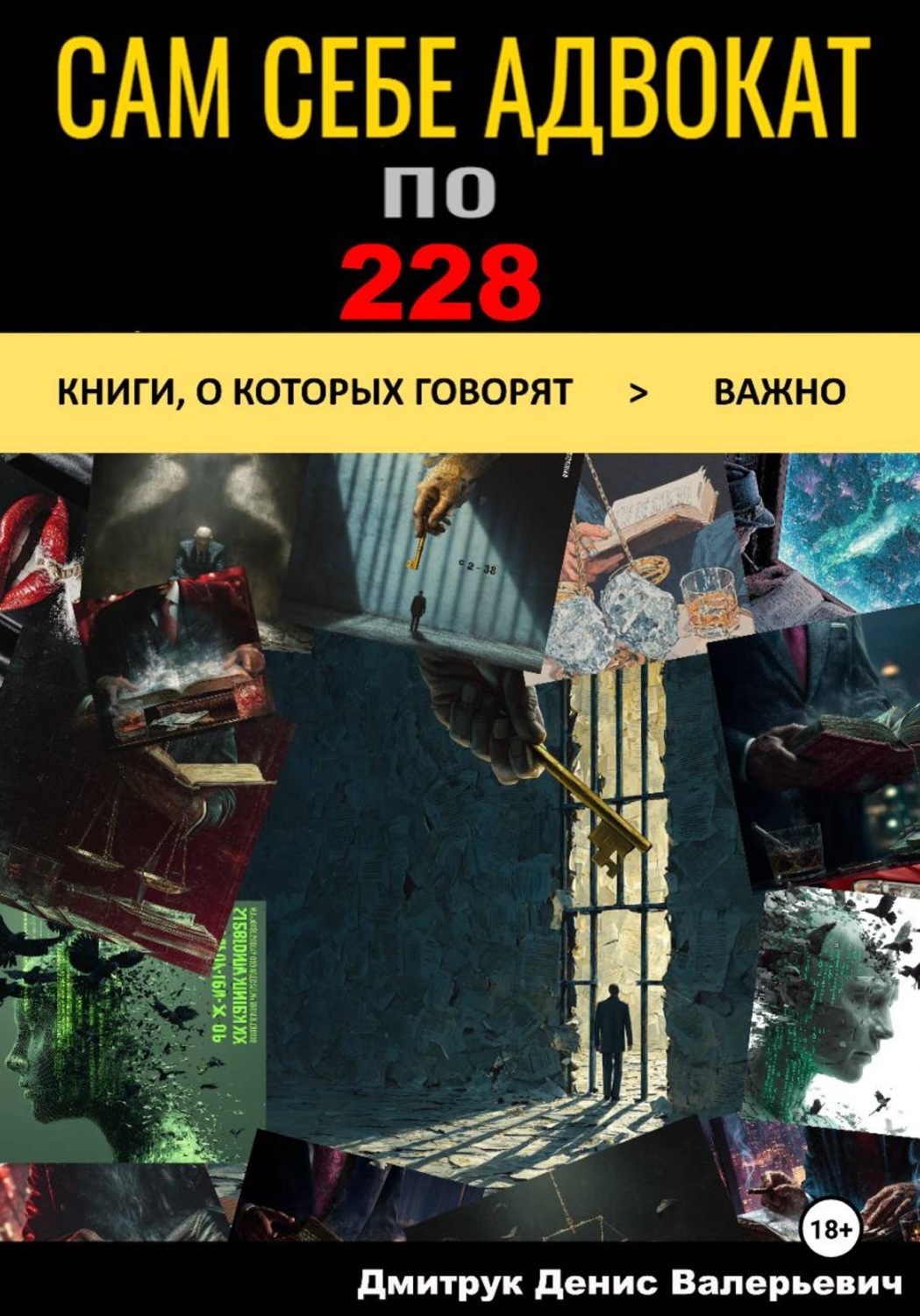 Обложка книги «Сам себе адвокат по 228»