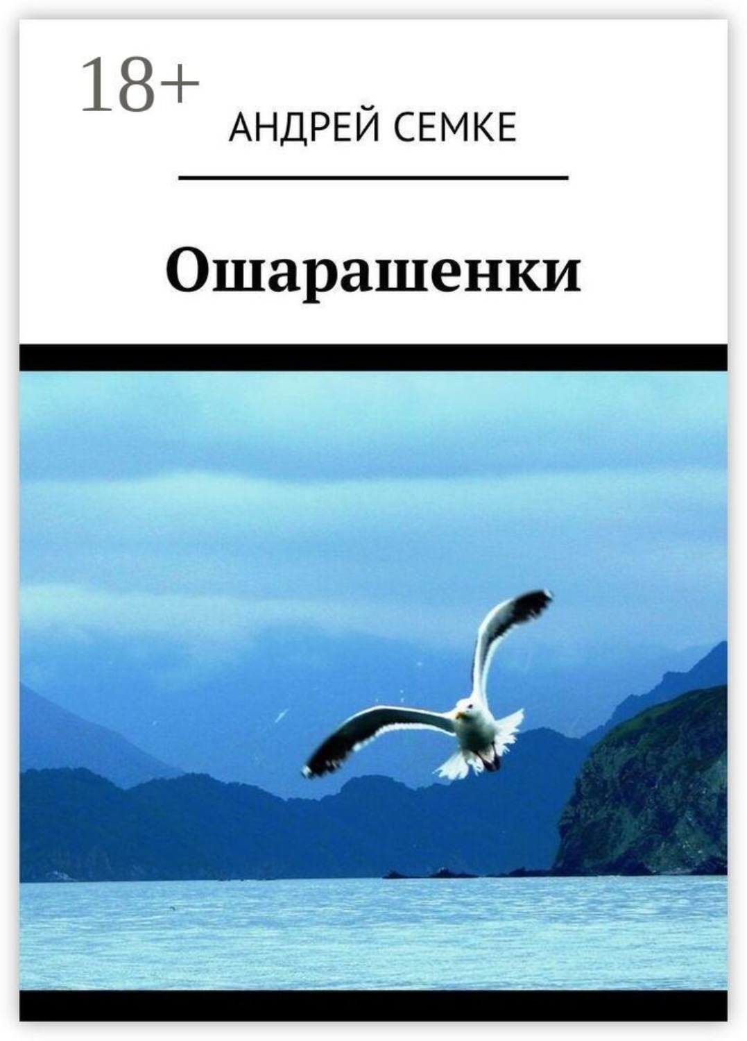 Обложка книги «Ошарашенки»