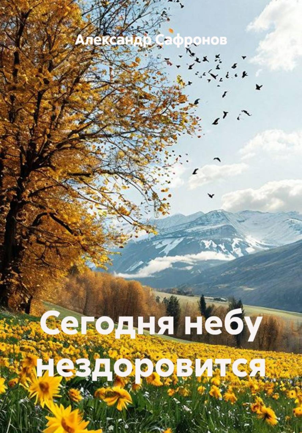 Обложка книги «Сегодня небу нездоровится»