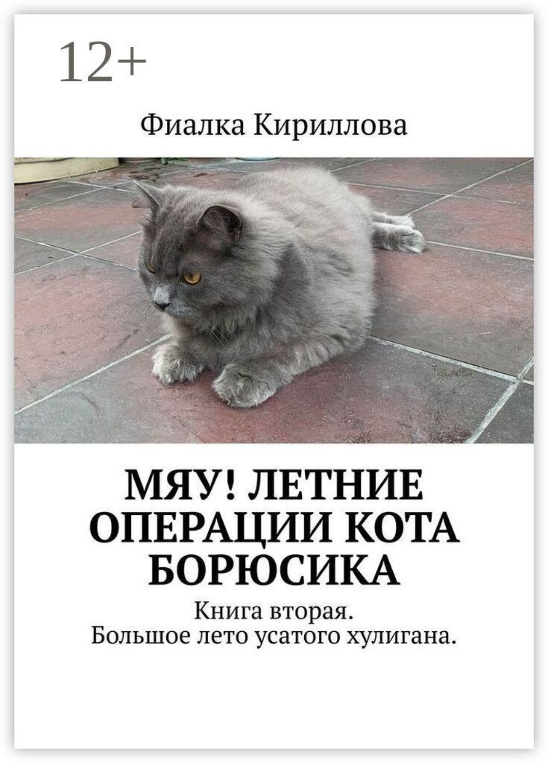 Обложка книги «Мяу! Летние операции кота Борюсика. Книга вторая. Большое лето усатого хулигана.»