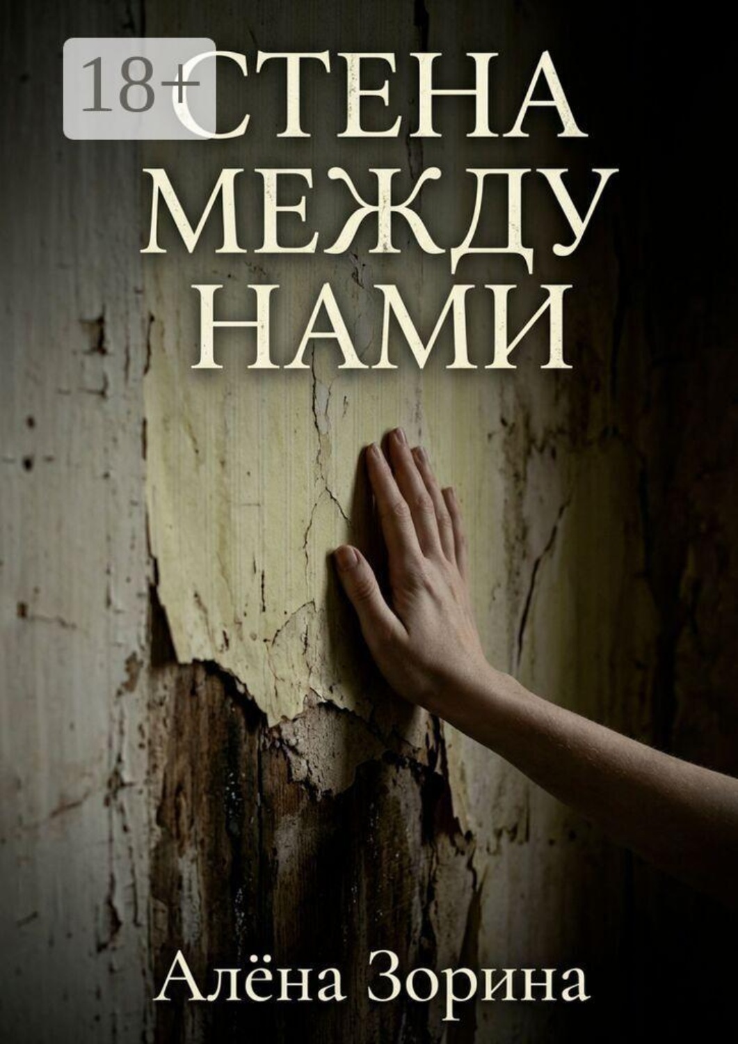 Обложка книги «Стена между нами»