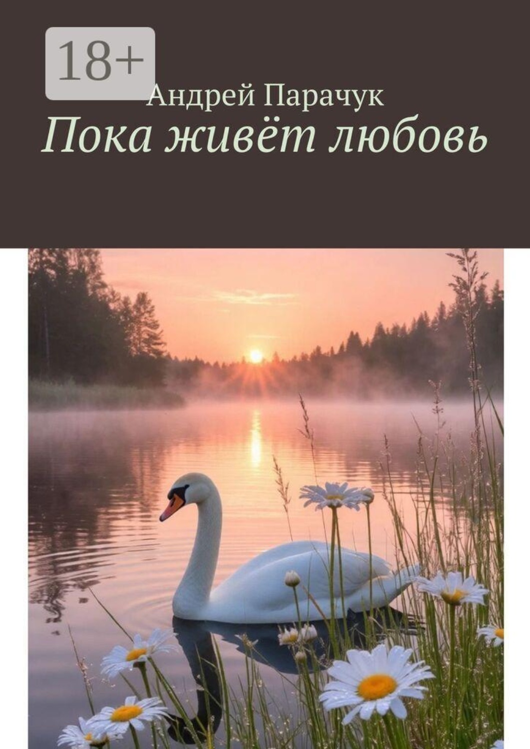 Обложка книги «Пока живёт любовь»