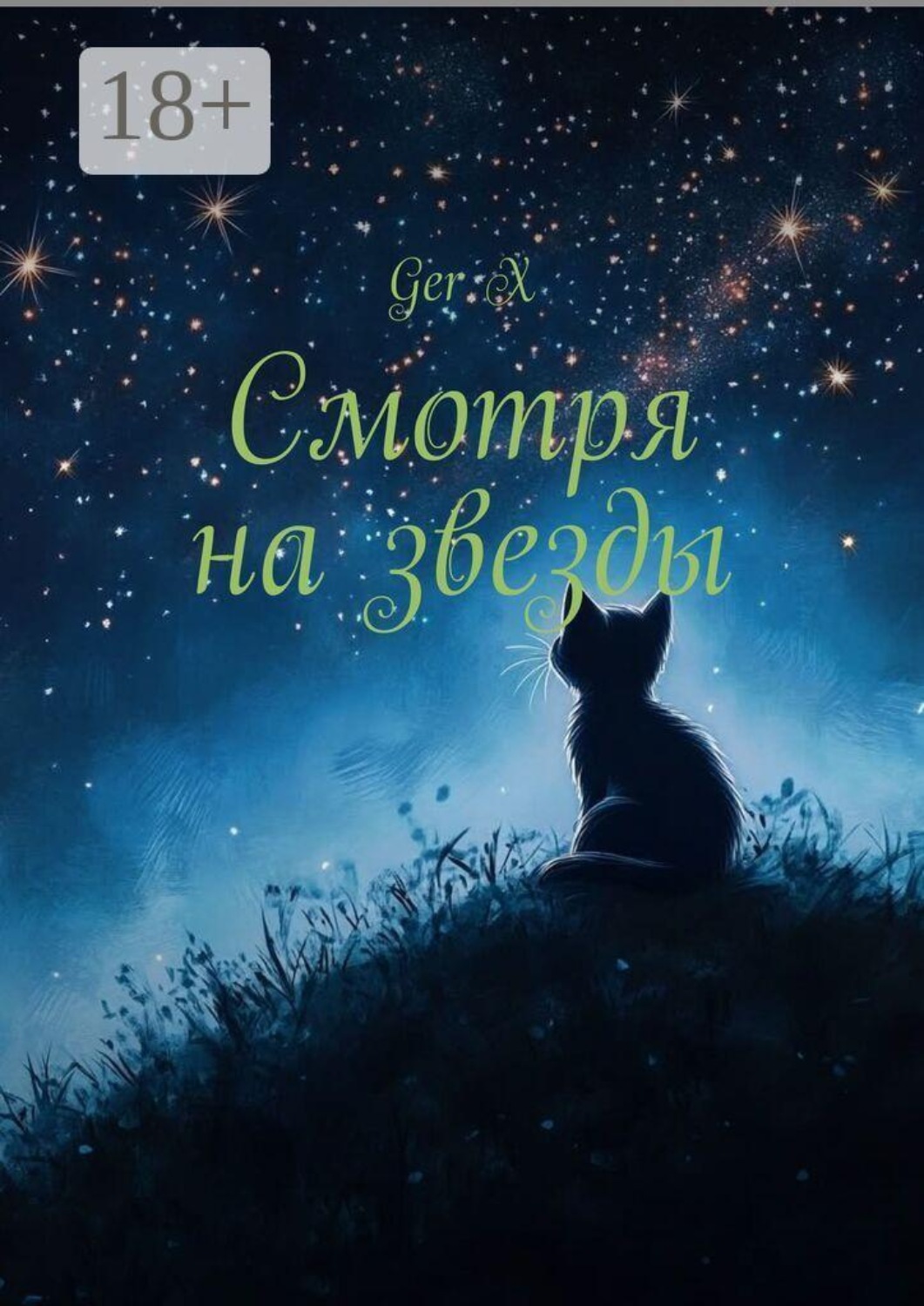 Обложка книги «Смотря на звезды»