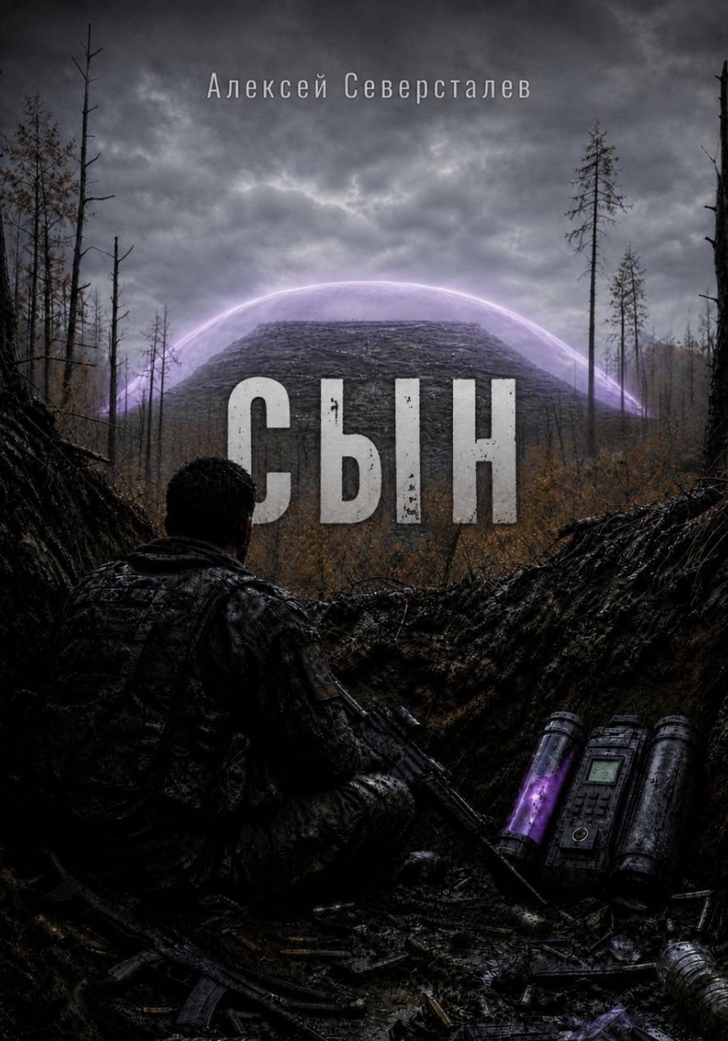 Обложка книги «Сын»
