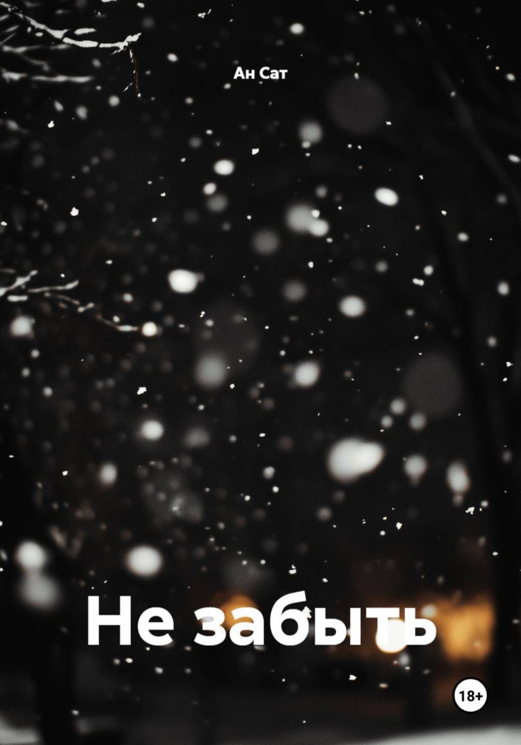 Обложка книги «Не забыть»
