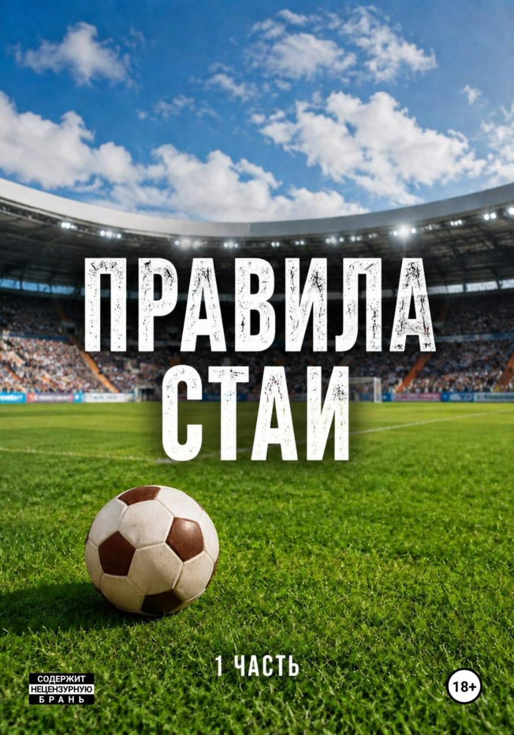 Обложка книги «Правила стаи. Цикл Выжить в игре. 1 часть»