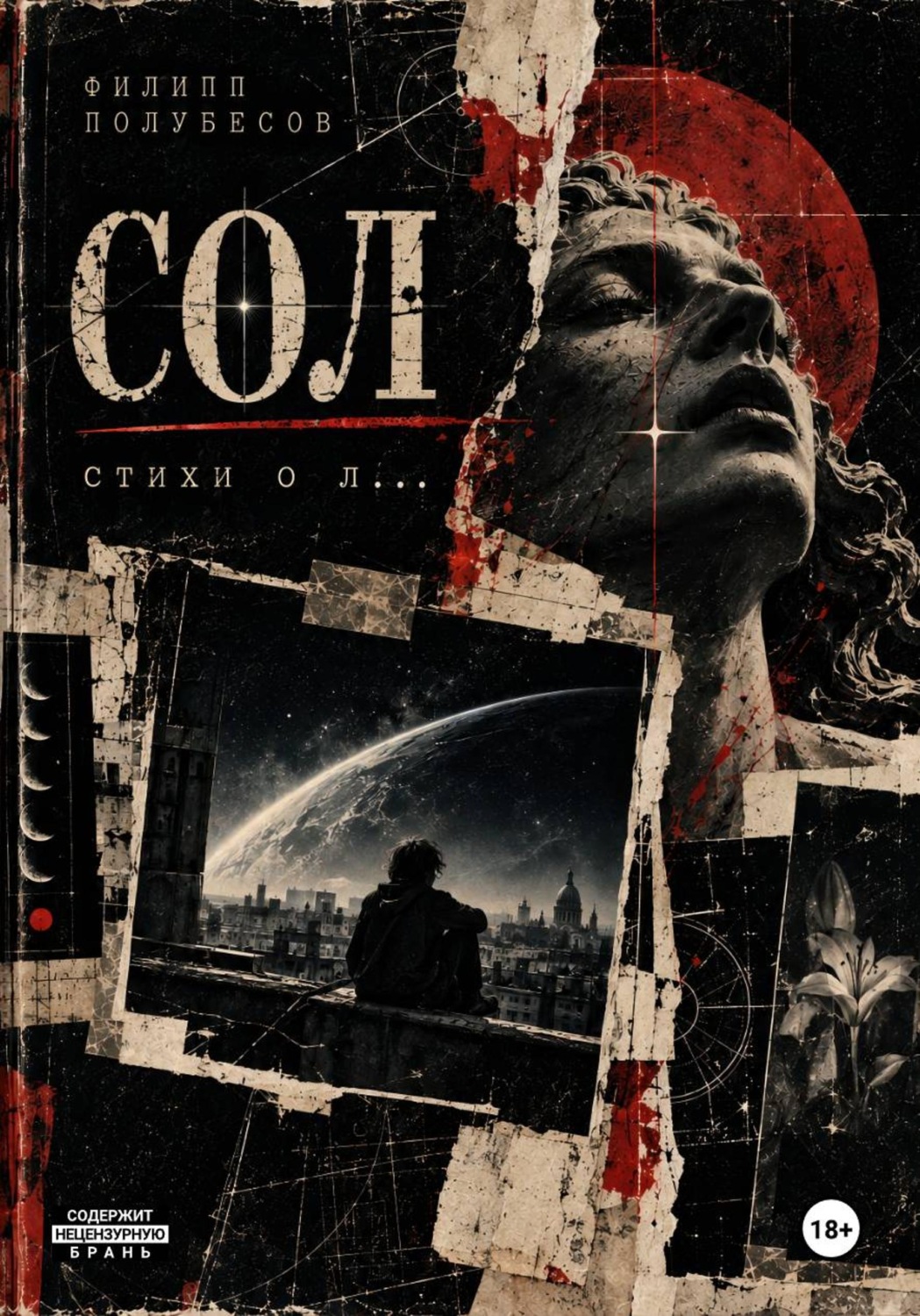 Обложка книги «Сол»