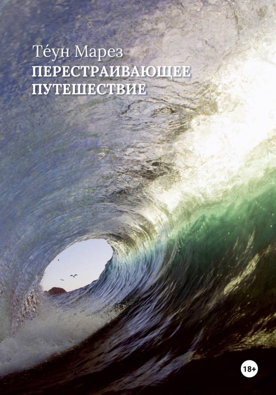 Обложка книги «Перестраивающее Путешествие»