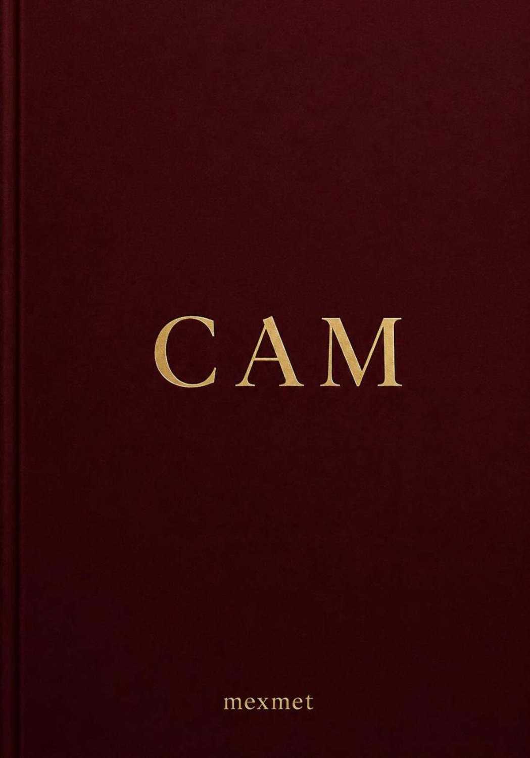 Обложка книги «САМ»