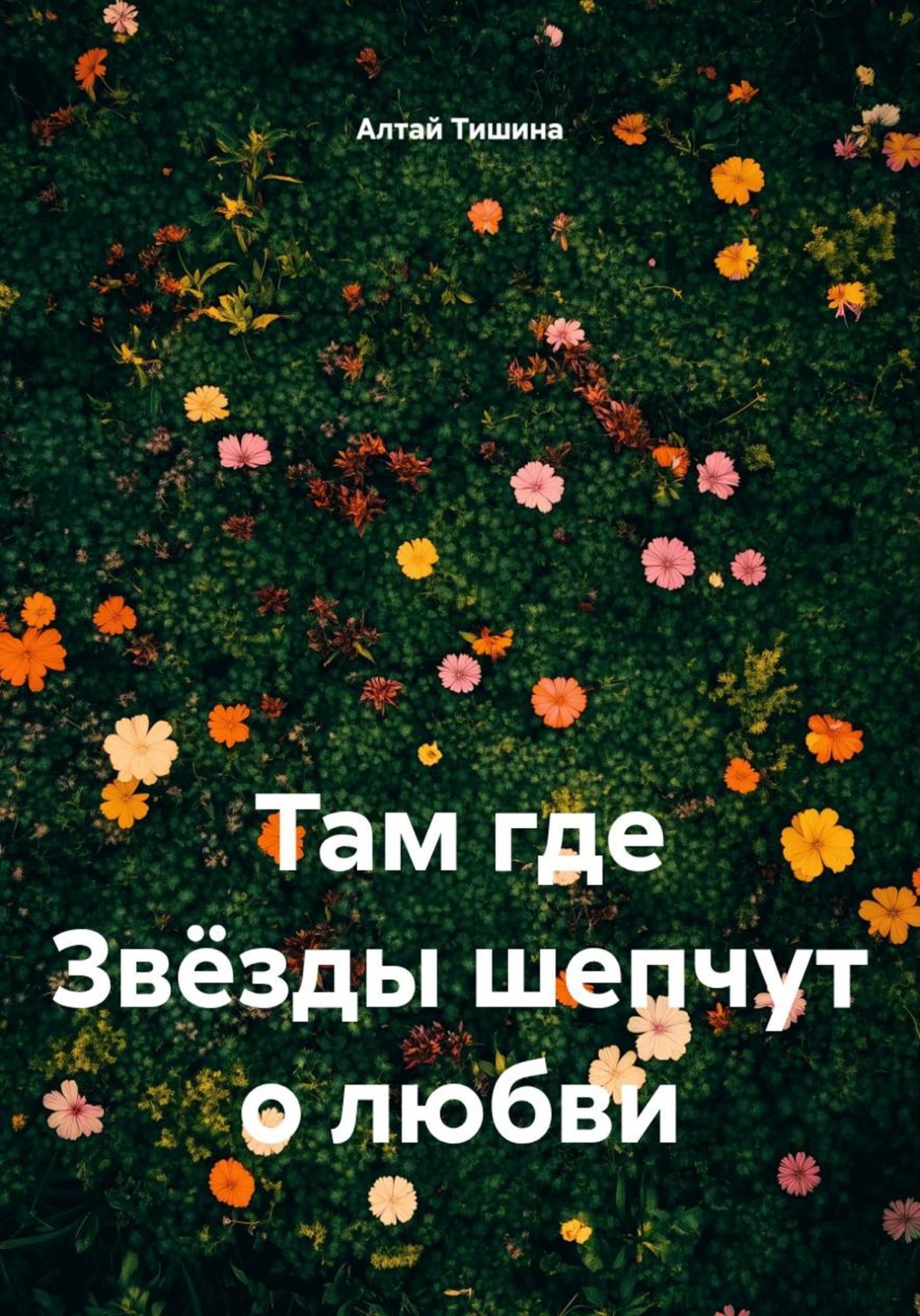 Обложка книги «Там, где Звёзды шепчут о любви»