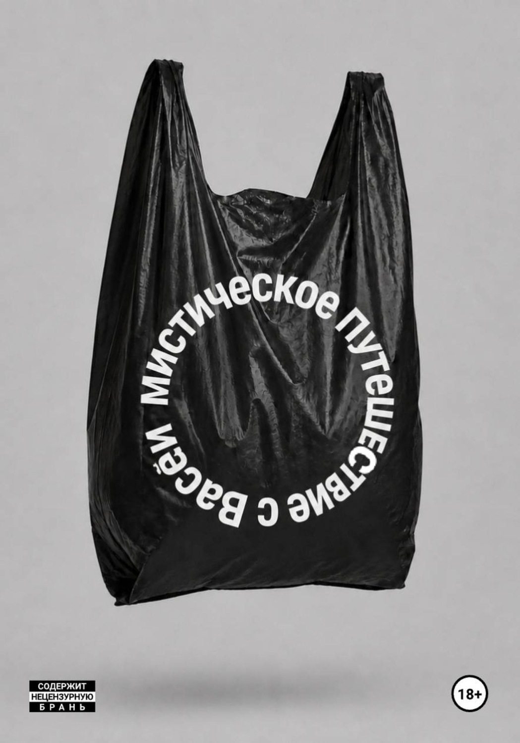 Обложка книги «Мистическое путешествие с Васей»