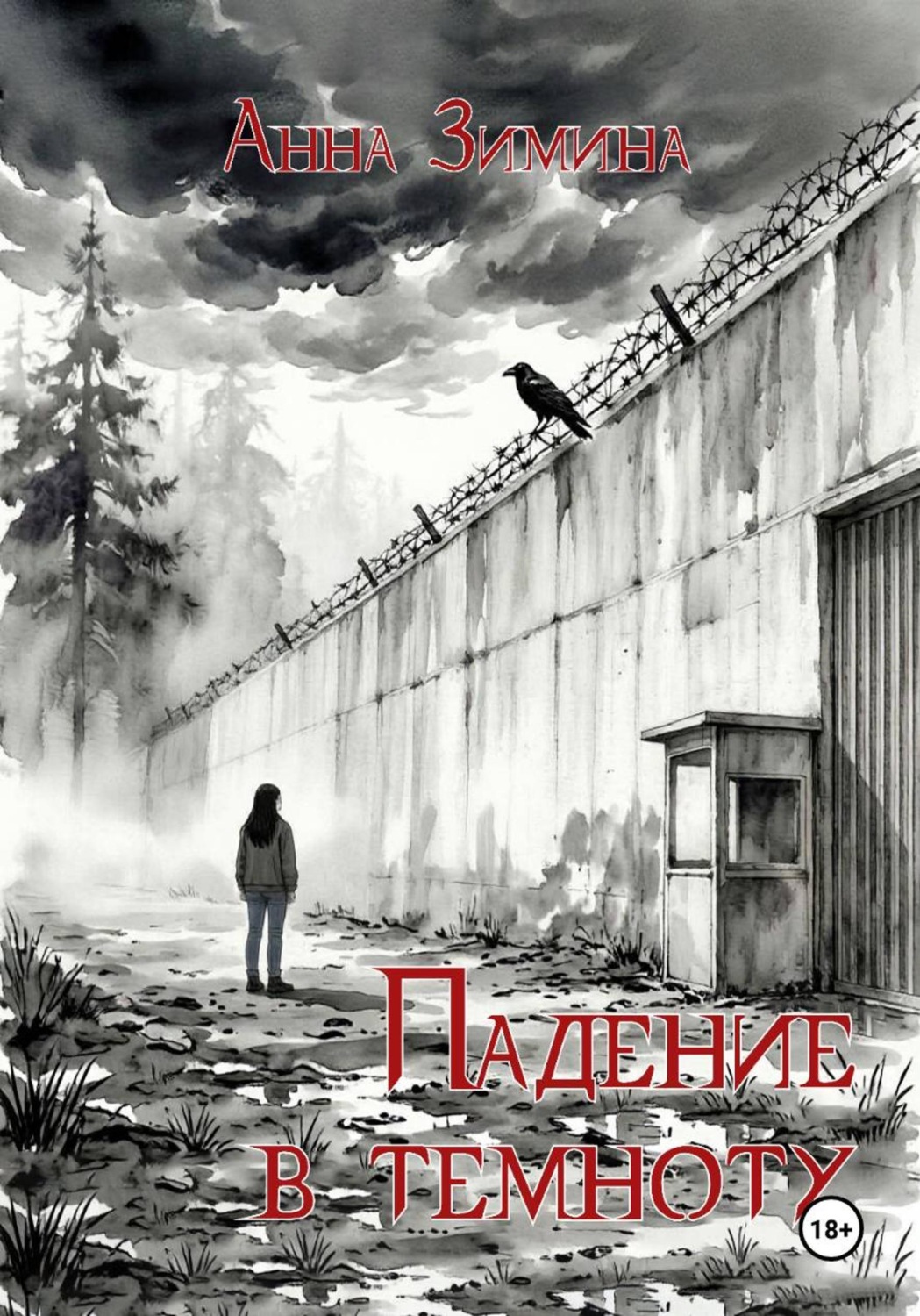 Обложка книги «Падение в темноту»