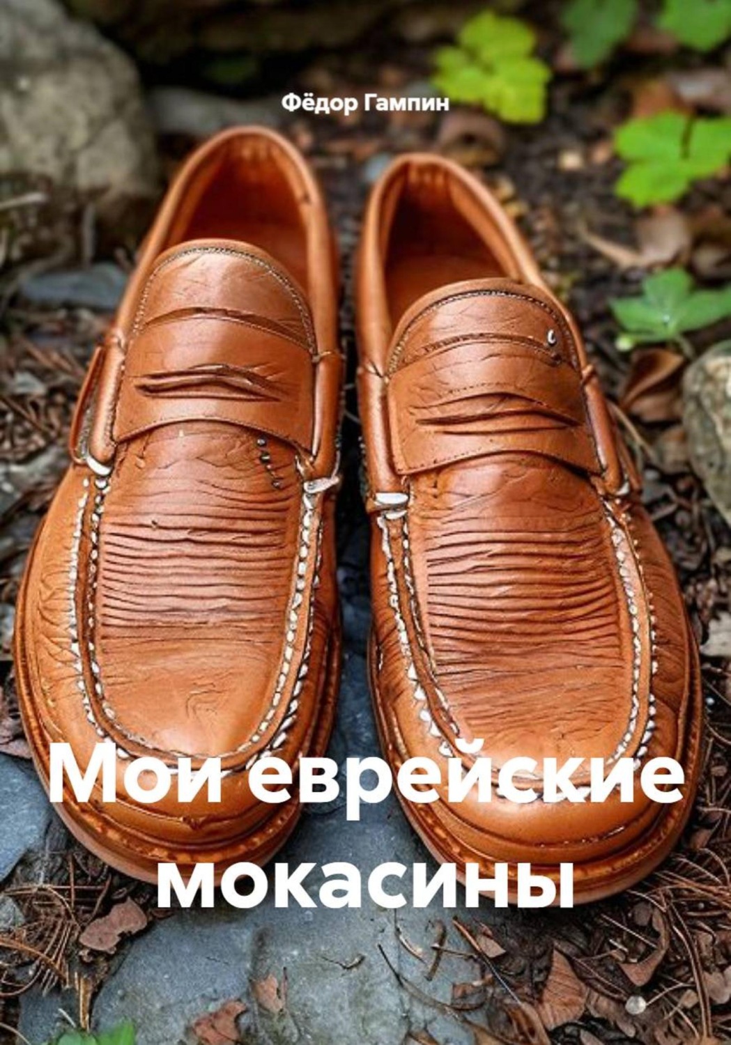 Обложка книги «Мои еврейские мокасины»